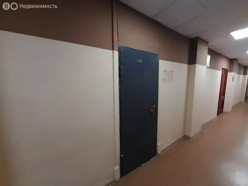 Офис (24.6 м) - Фото 1