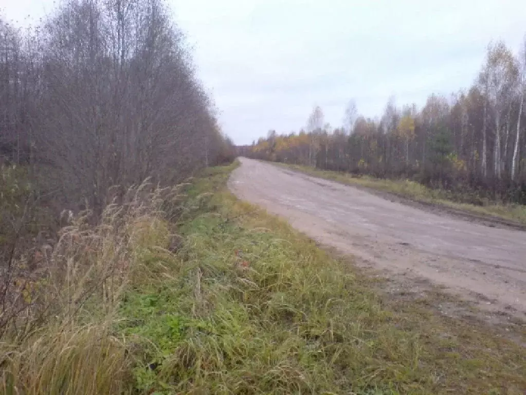 Продается участок в д. Масюгино - Фото 1