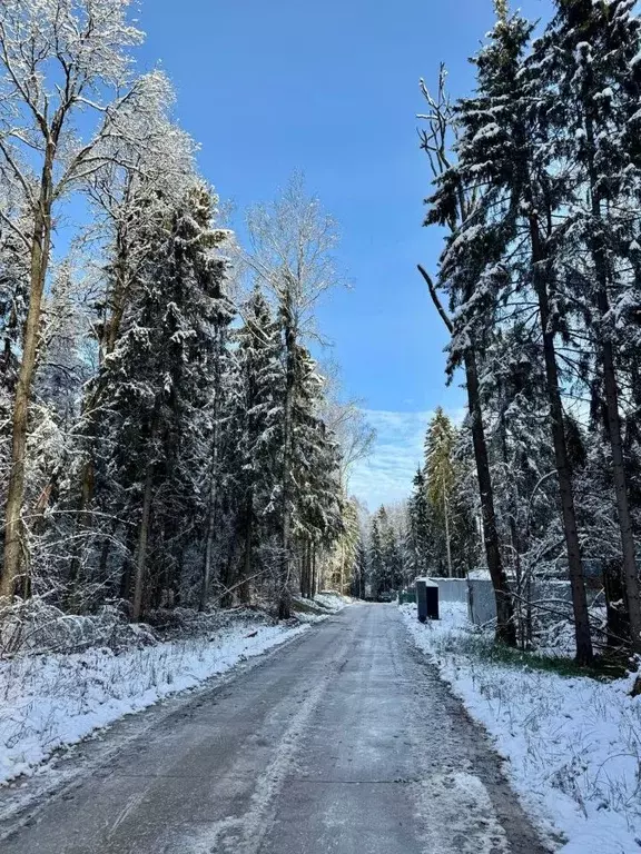Участок в Московская область, Дмитровский муниципальный округ, д. ... - Фото 1