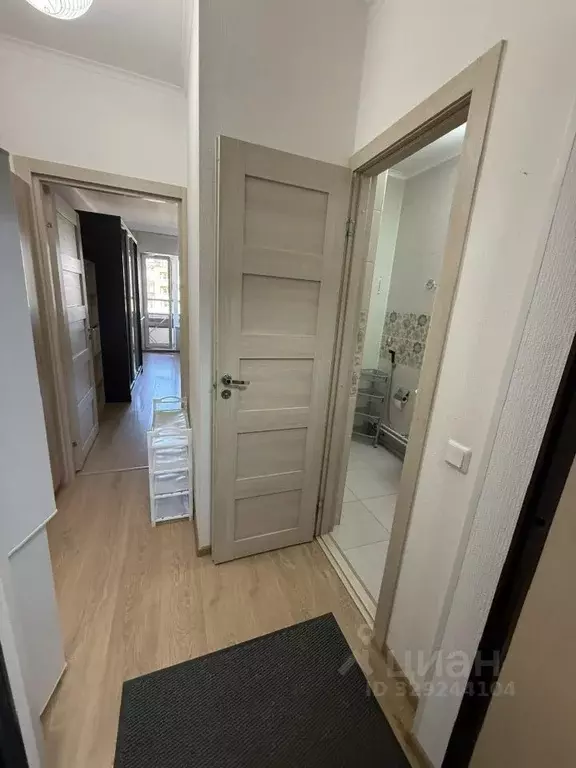 Студия Санкт-Петербург просп. Ветеранов, 169к3 (27.0 м) - Фото 2