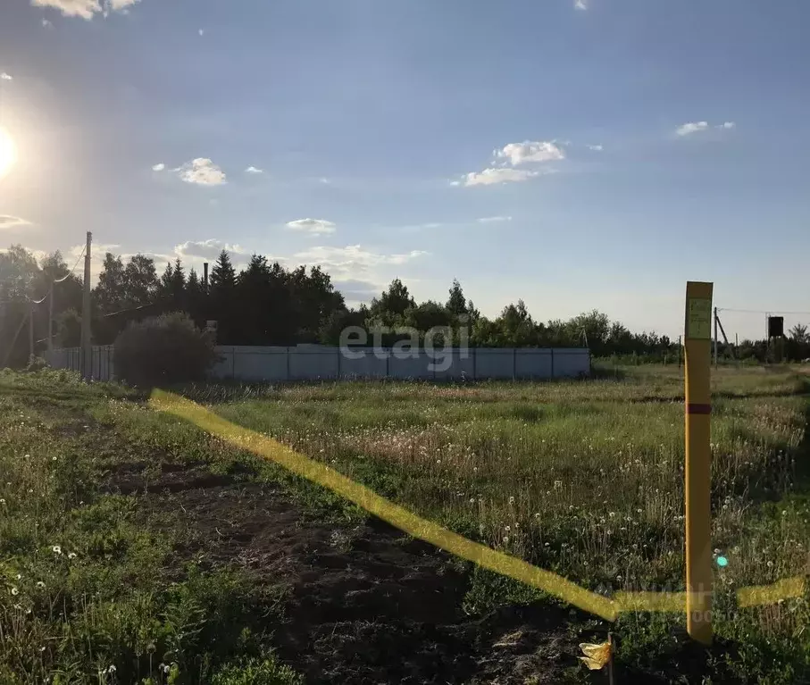 Участок в Тамбовская область, Тамбовский муниципальный округ, д. ... - Фото 1