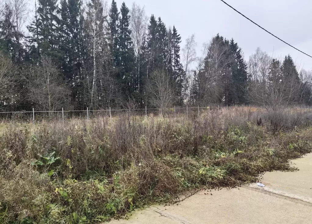 Участок в Калужская область, Боровский муниципальный округ, Совьяки ... - Фото 1