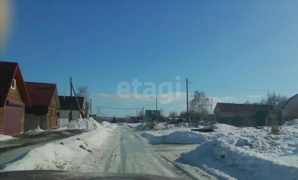 Участок в Саратовская область, Базарно-Карабулакский район, ... - Фото 2