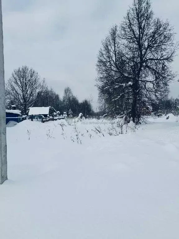 Продается участок в д. Потаповское - Фото 2