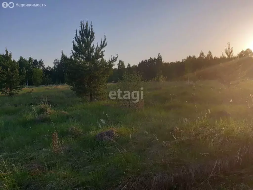 Участок в Тюменский район, село Княжево (8 м) - Фото 1