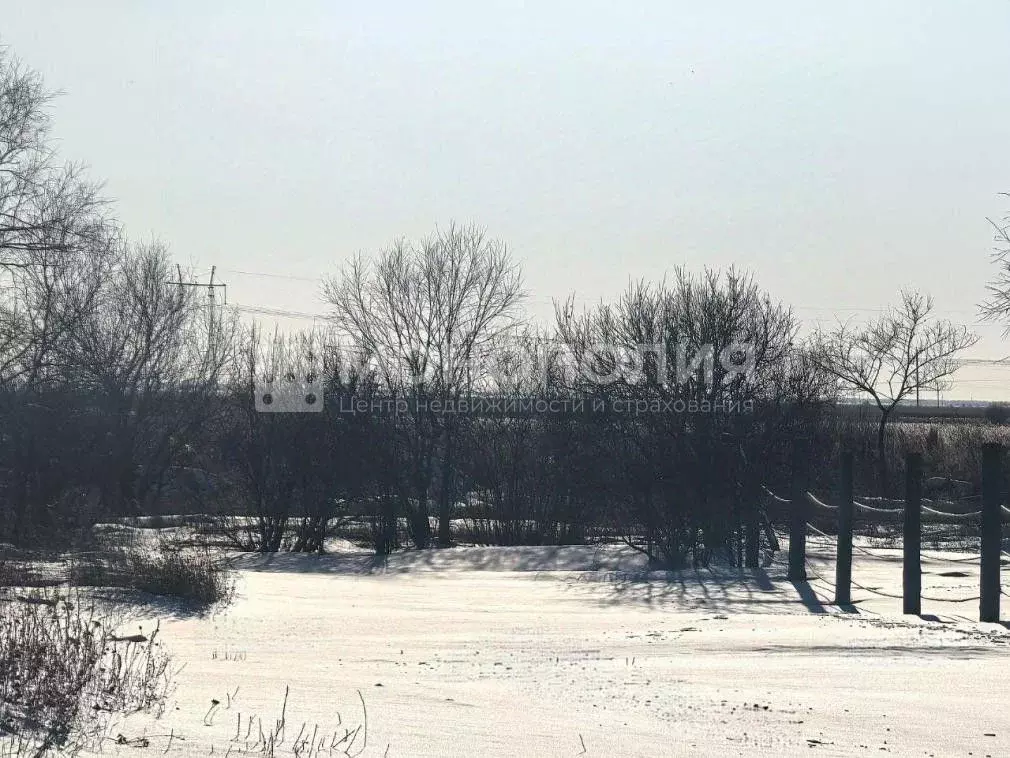 Участок в Амурская область, Белогорский муниципальный округ, с. ... - Фото 2