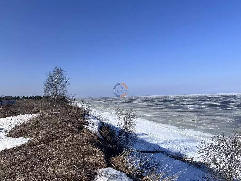 Участок в Новгородская область, Старорусский район, Наговское с/пос, ... - Фото 2