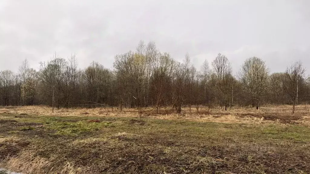 Участок в Московская область, Истра муниципальный округ, д. Шапково 22 ... - Фото 2