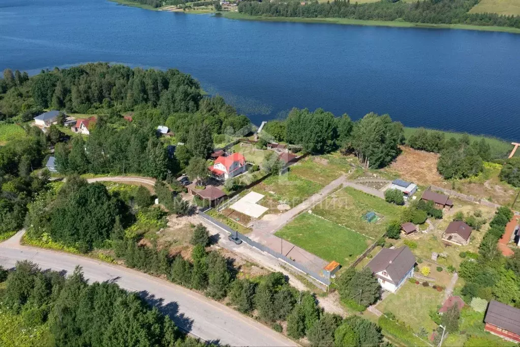 Участок в Ленинградская область, Выборгский район, Приморское ... - Фото 1