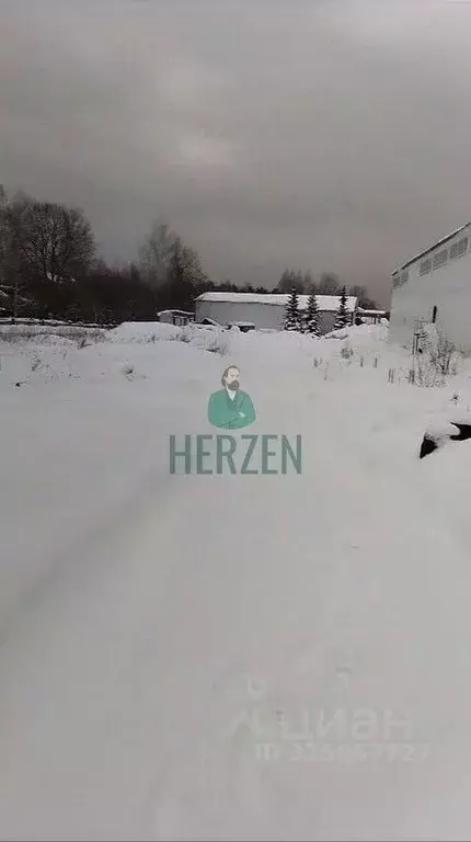 Склад в Московская область, Пушкино Мамонтовка мкр, Рабочая ул., 1 ... - Фото 2