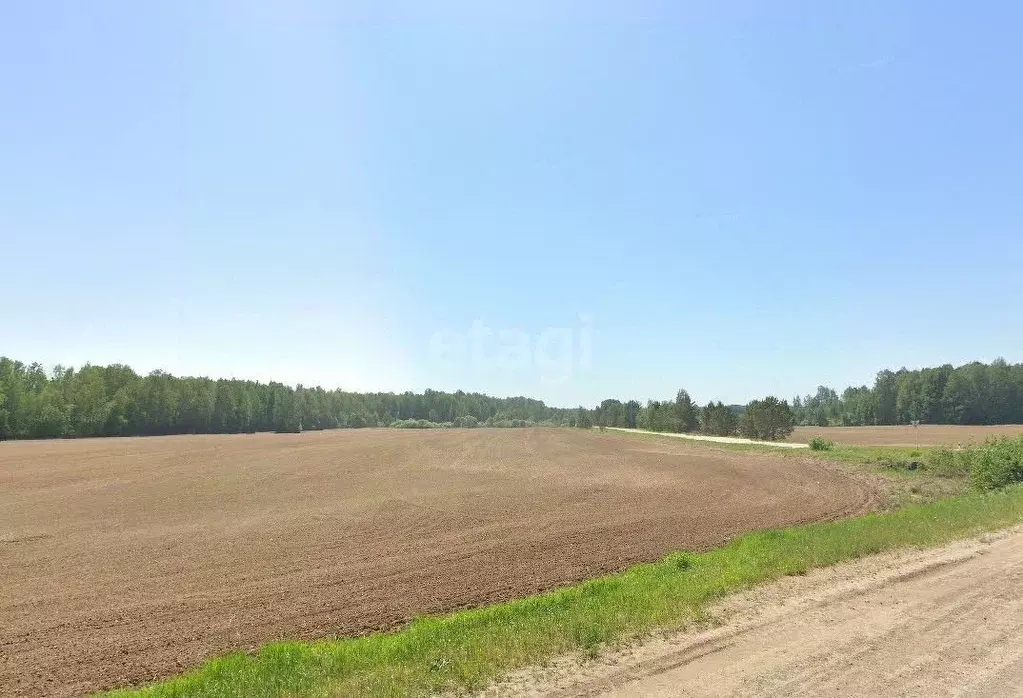 Участок в Свердловская область, Каменский муниципальный округ, д. ... - Фото 1
