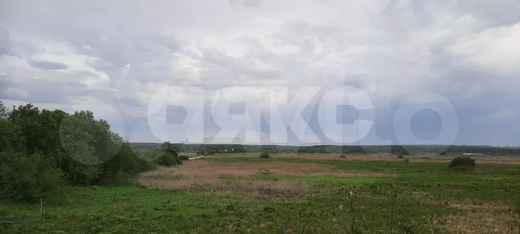 Участок 19,8 сот. (ИЖС) - Фото 0