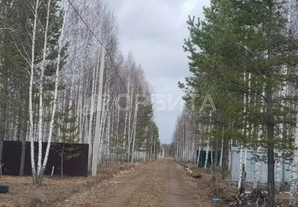 Участок в Тюменская область, Нижнетавдинский район, Царицыно СНТ  (7.0 ... - Фото 1