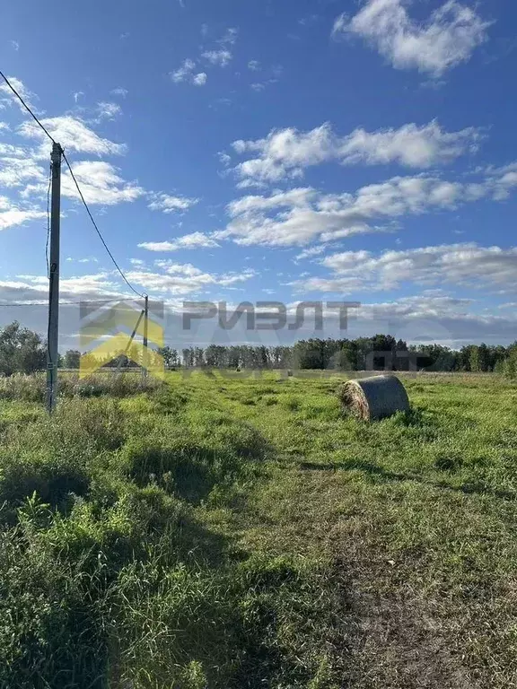 Участок 12 сот. (ИЖС) - Фото 0