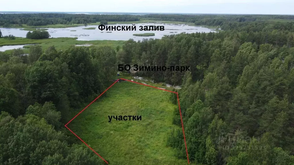 Участок в Ленинградская область, Выборгский район, Советское городское ... - Фото 2