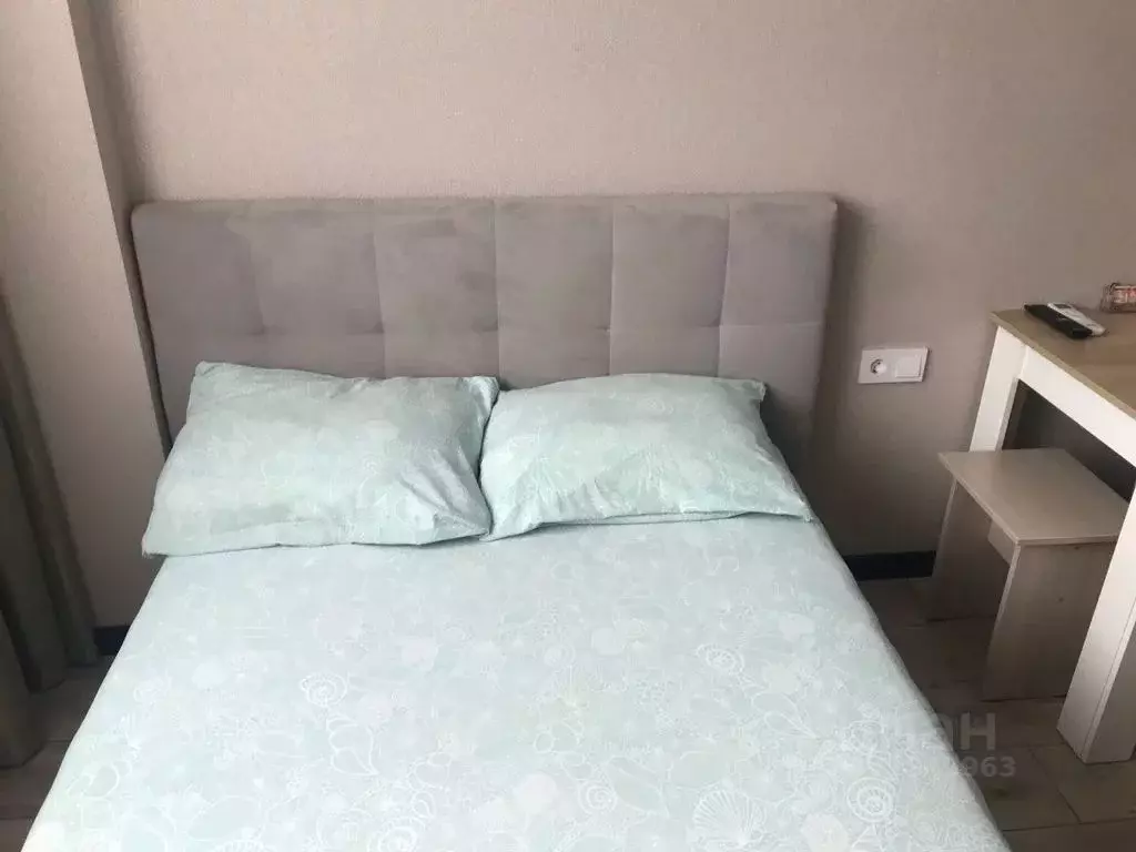 Студия Приморский край, Артем ул. Горького, 2А (25.0 м) - Фото 1