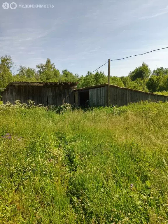 Участок в Ярославская область, Борисоглебский муниципальный округ, ... - Фото 2