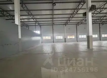 Склад в Ленинградская область, Отрадное Кировский район, Ленинградское ... - Фото 1