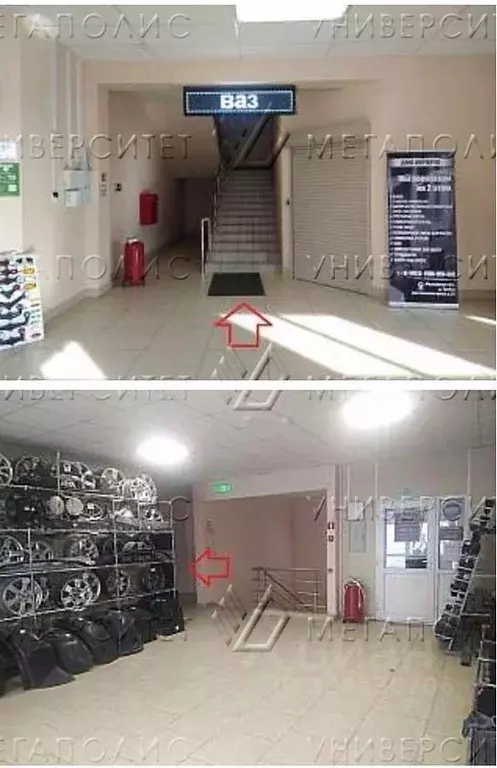 Торговая площадь в Московская область, Мытищи городской округ, д. ... - Фото 2