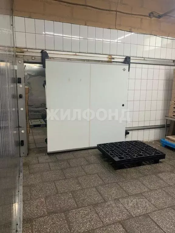 Производственное помещение в Новосибирская область, Новосибирский ... - Фото 1