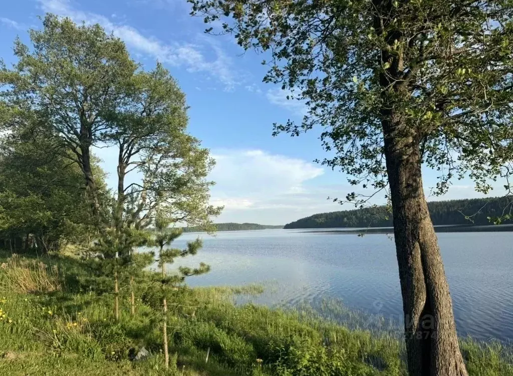 Участок в Ленинградская область, Выборгский район, Полянское с/пос, ... - Фото 1