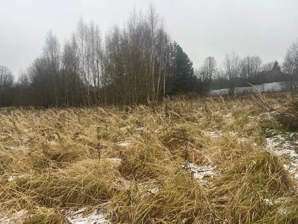 Участок в Московская область, Можайский муниципальный округ, д. ... - Фото 1