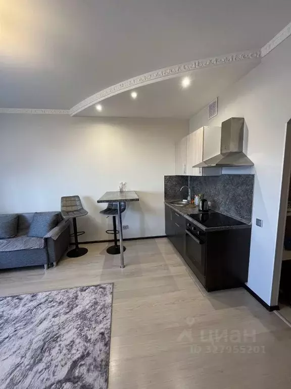 Студия Ленинградская область, Кудрово г. Всеволожский район, Заневское ... - Фото 2