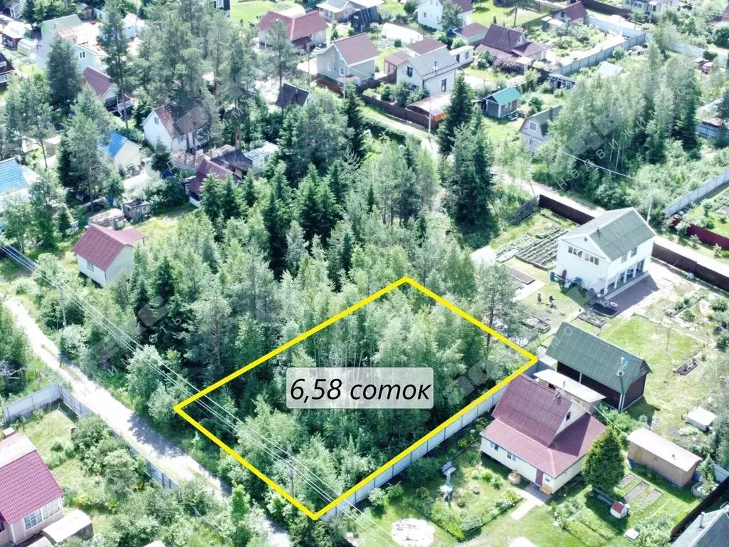 Участок в Ленинградская область, Выборгский район, Красносельское ... - Фото 2