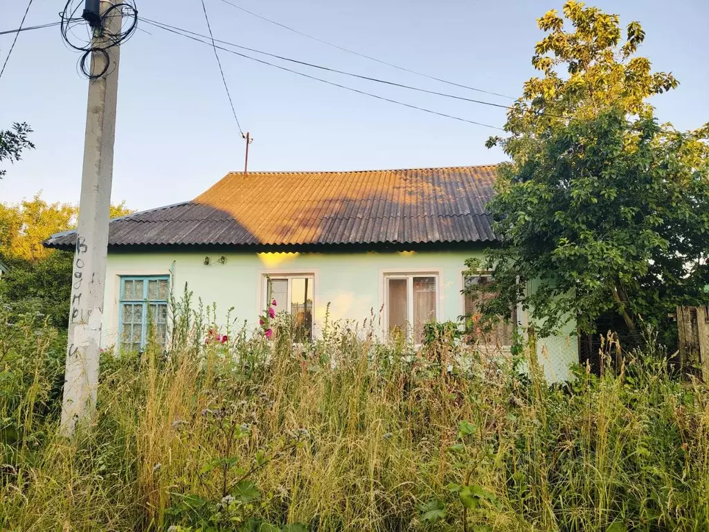 Дом в Тульская область, Новомосковск Южная ул., 19 (53 м) - Фото 1