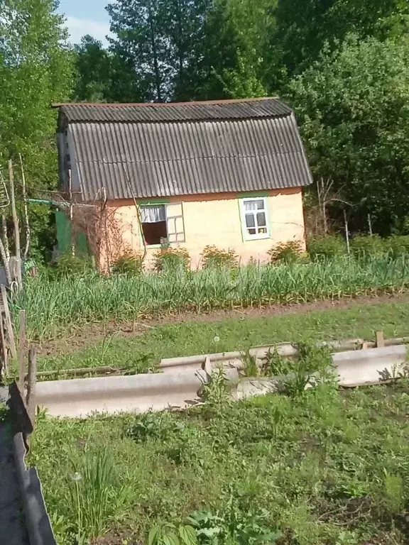 Участок в Брянская область, Фокино  (7.4 сот.) - Фото 1