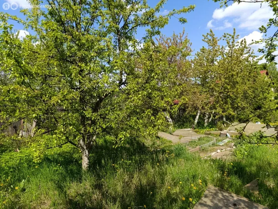 Дом в Подольск, Беляевская улица, 22 (47 м) - Фото 0
