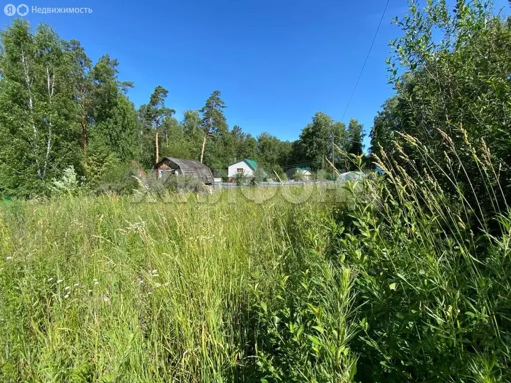 Участок в Новосибирск, СНТ Сибирский Мичуринец, Солнечная улица (10 м) - Фото 0