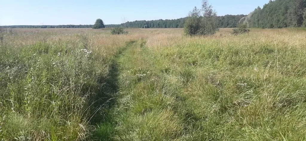 Участок в Московская область, Сергиево-Посадский городской округ, д. ... - Фото 1