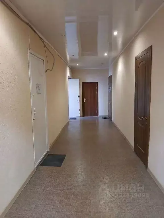 Офис в Санкт-Петербург Чугунная ул., 14АО (51 м) - Фото 1