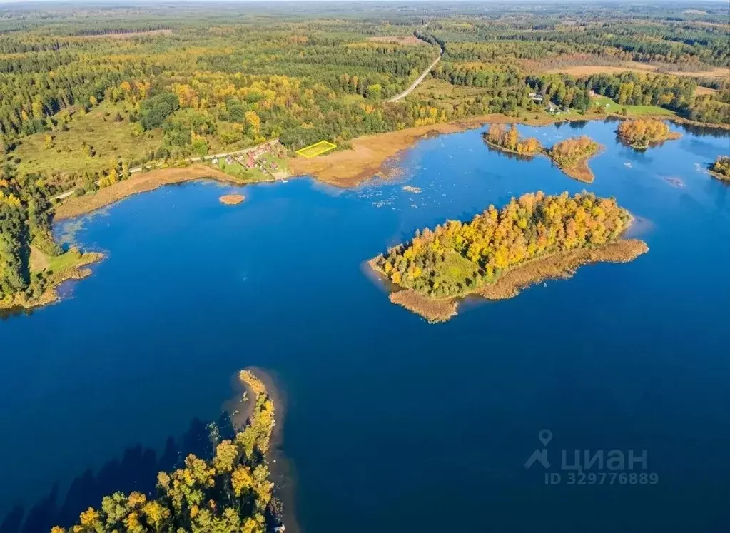 Участок в Новгородская область, Демянский муниципальный округ, д. ... - Фото 1