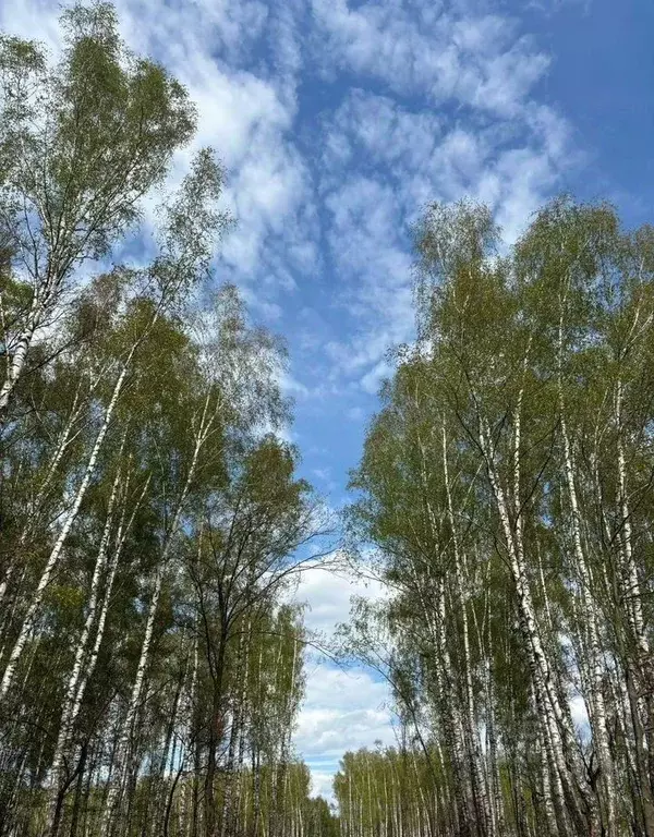 Участок в Московская область, Серпухов городской округ, д. Глубоково ... - Фото 2