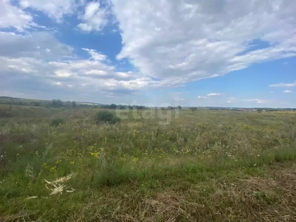 Участок в Белгородская область, Белгородский район, Хохловское с/пос, ... - Фото 1