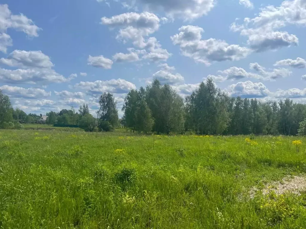 Участок в Московская область, Ступино городской округ, д. Гридюкино ... - Фото 0