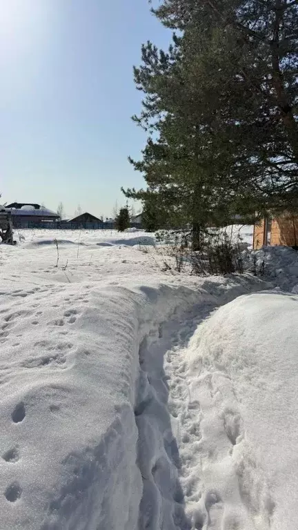 Участок в Московская область, Пушкинский городской округ, с. Левково  ... - Фото 1
