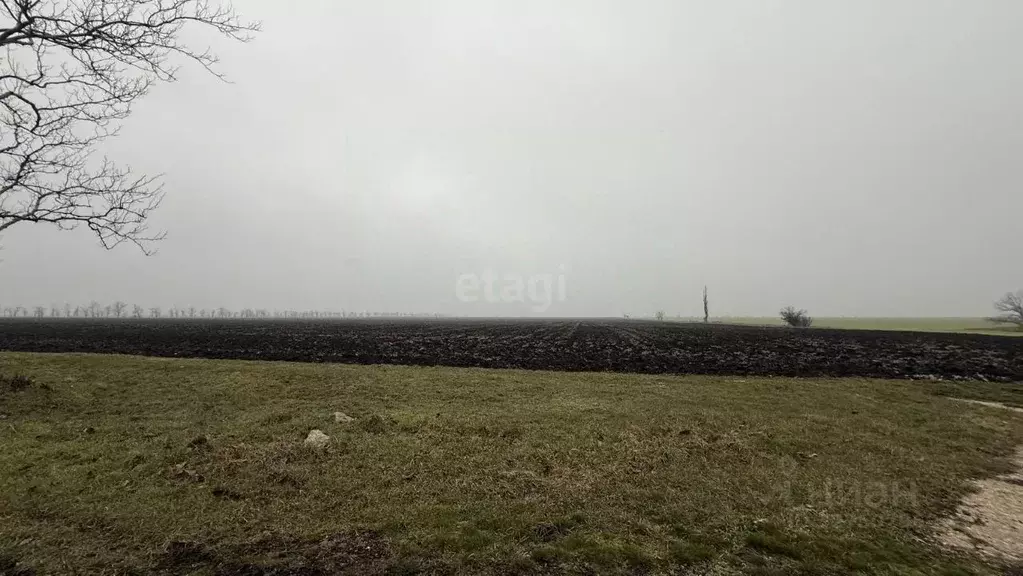 Участок в Крым, Симферопольский район, с. Журавлевка  (1153.45 сот.) - Фото 2