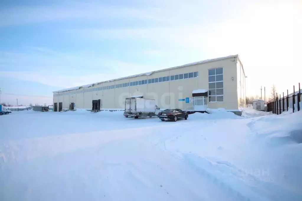 Склад в Ямало-Ненецкий АО, Новый Уренгой Энергетик мкр, 12 (1497 м) - Фото 1