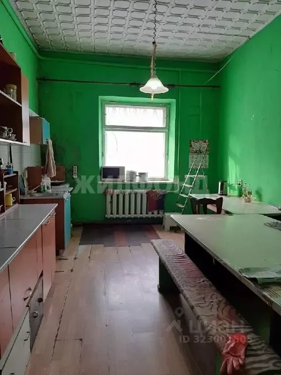 Дом в Новосибирская область, Новосибирский район, с. Толмачево ул. 60 ... - Фото 0