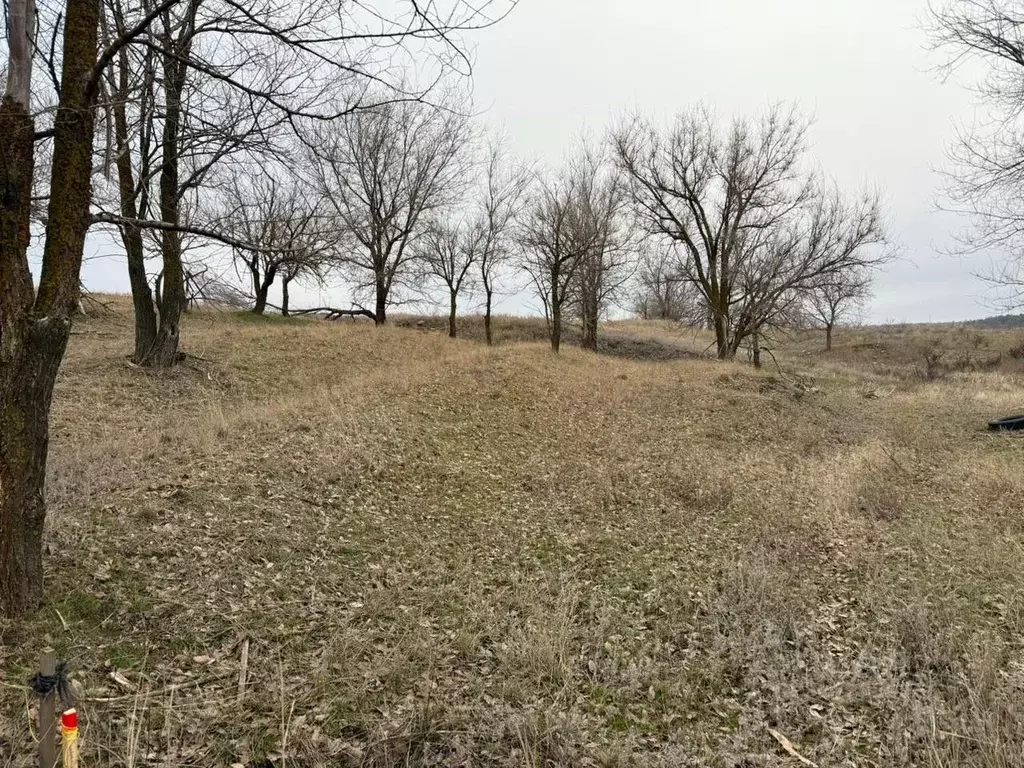 Участок в Волгоградская область, Городищенский район, Царицынское ... - Фото 0