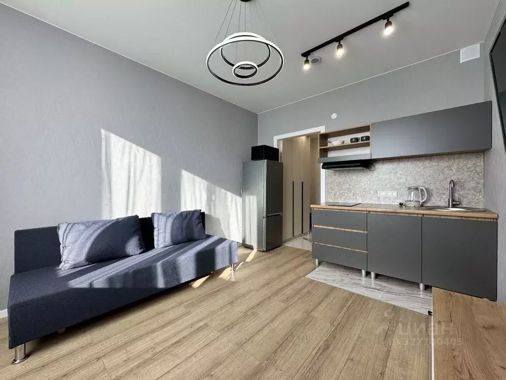 Студия Санкт-Петербург просп. Крузенштерна, 4 (20.3 м) - Фото 1