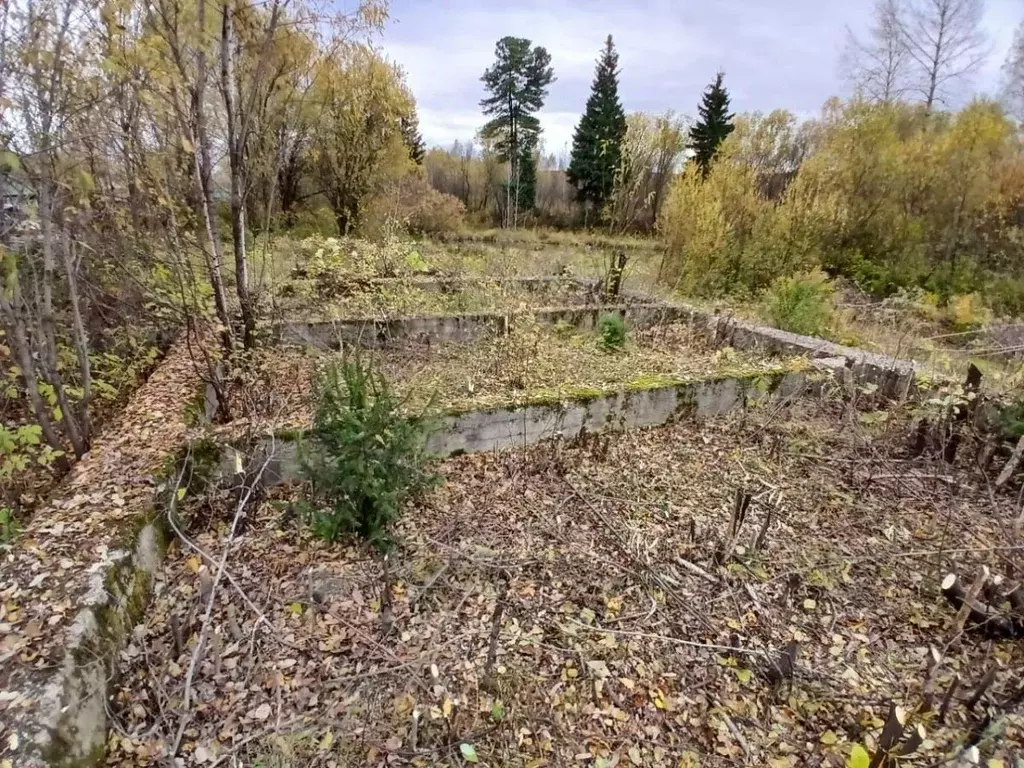 Участок в Кемеровская область, Междуреченск Разрезовская ул., 36 (20.0 ... - Фото 1