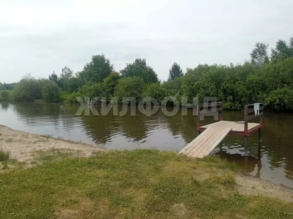Участок в Новосибирская область, Колыванский район, Север ТСН  (10.1 ... - Фото 2