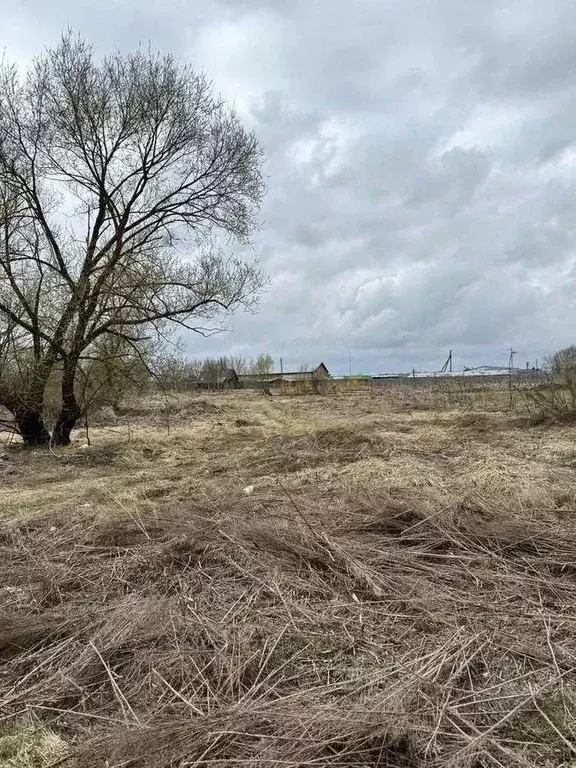 Участок в Калужская область, Козельский муниципальный округ, Нижние ... - Фото 2
