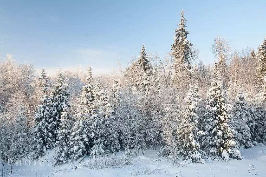 Участок в Московская область, Одинцовский городской округ, пос. ... - Фото 1