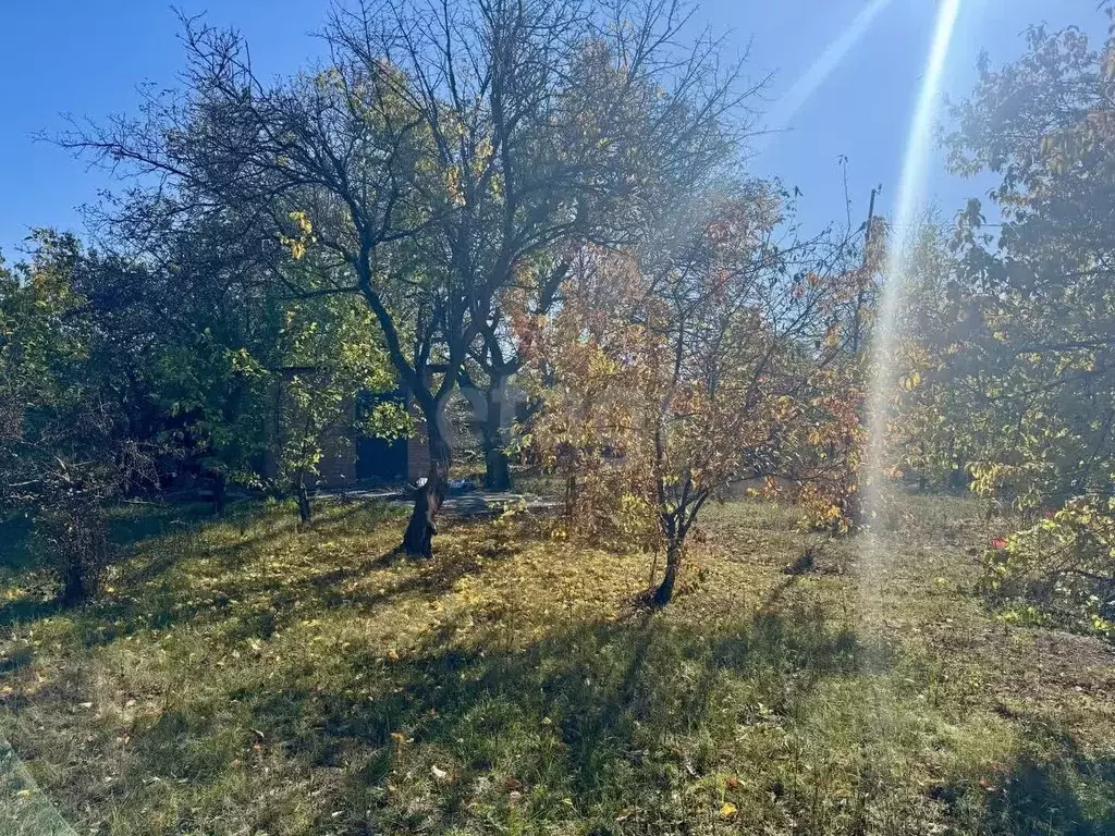 Участок в Ростовская область, Новочеркасск № 11 Станкостроитель ... - Фото 2