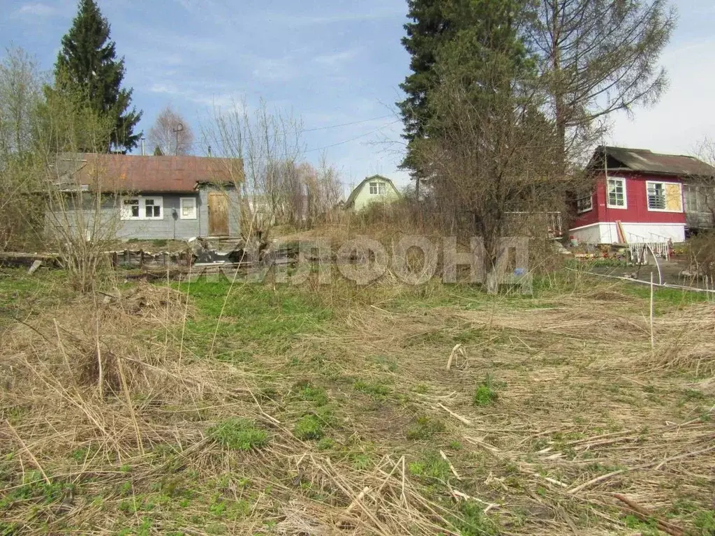 Участок в Новосибирская область, Новосибирск Золотая Горка СНТ,  (6.93 ... - Фото 1